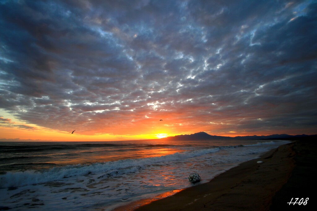 今年もよろしくお願いします。