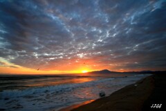 今年もよろしくお願いします。