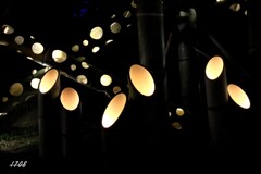 和風イルミ・竹あかり 2/3