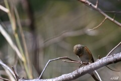 おめでとうございます。