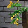 樹脂粘土の作品展から
