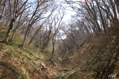 お花畑への登山道