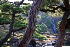 日本庭園