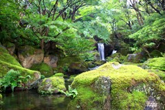 日本庭園 2/2
