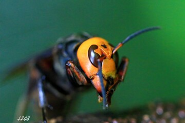 食事の前には手を綺麗に