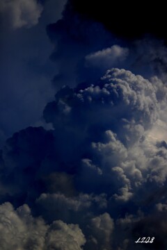 そろそろこの季節