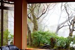 リビングから....