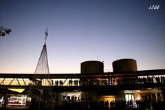 イルミ点灯を待つ