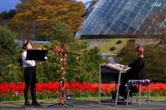 国立音楽院・南部校