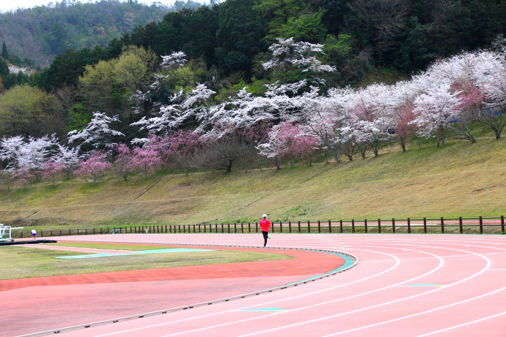 花見より...