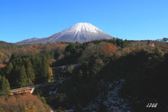 念願の位置から