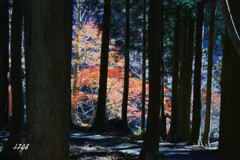 残り物に福がある２