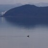 中海