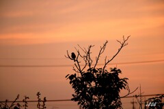 ２０２５忘れ物（今日を振り返る）