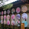 昼の傘