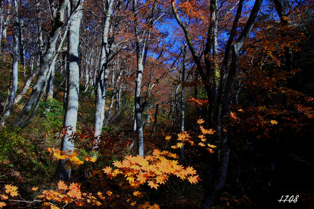 残り物に福がある ４