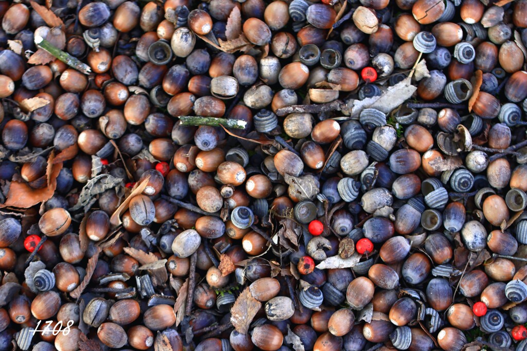 落ちて...寄り添う