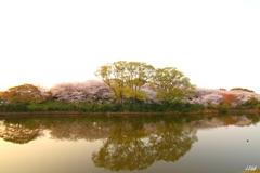 公園
