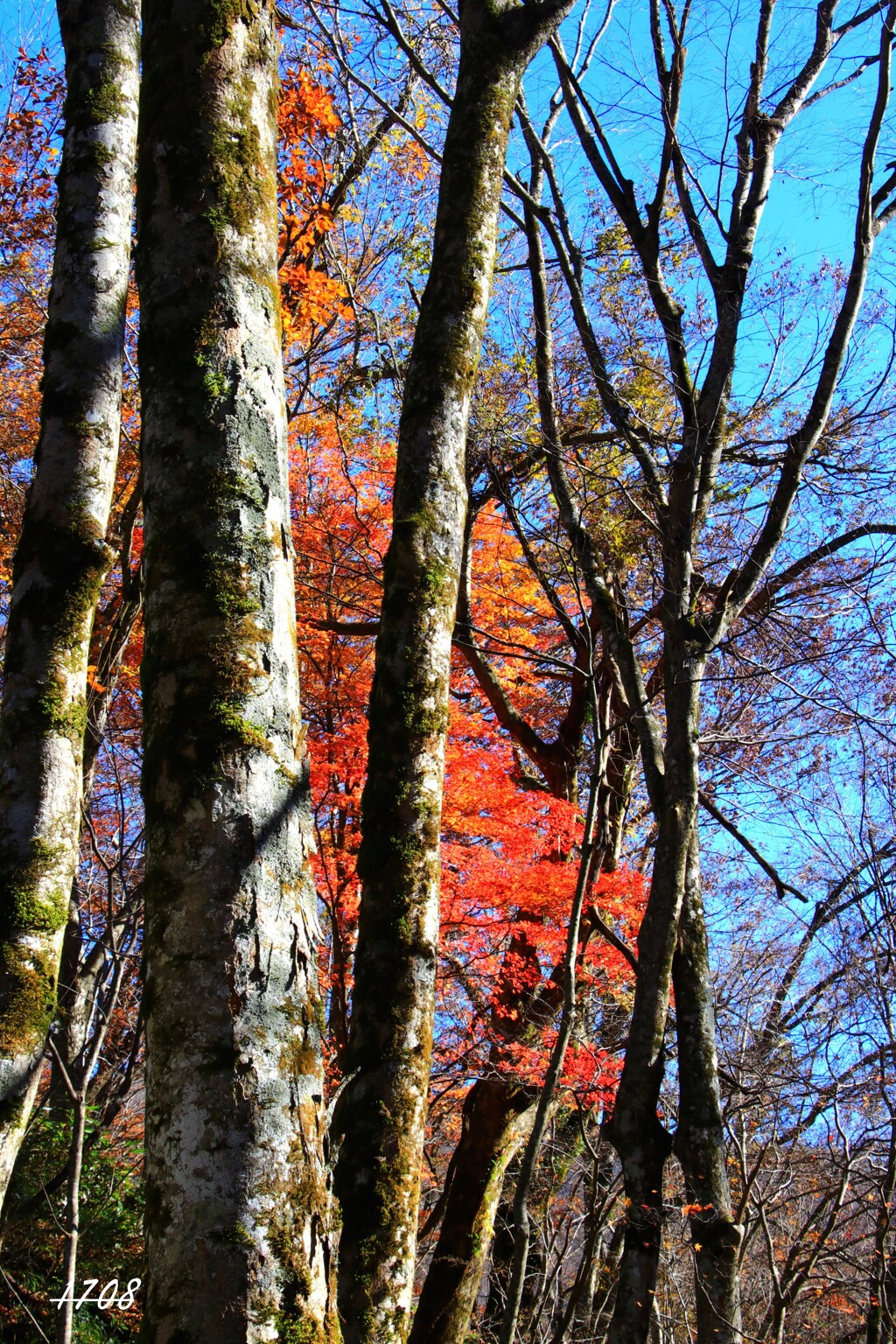 残り物に福がある３