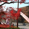 紅葉１