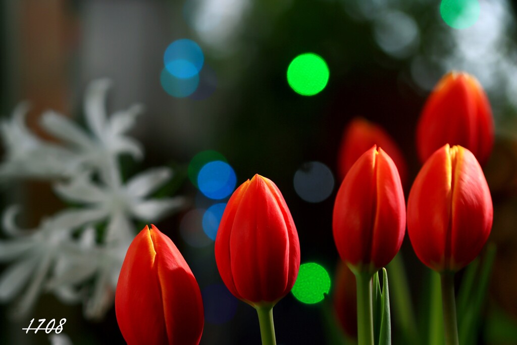 アイスチューリップ