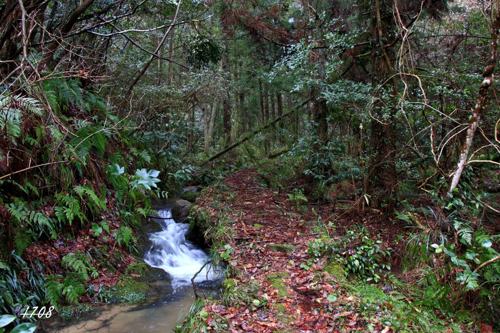片江古道 1/4