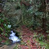 片江古道 1/4