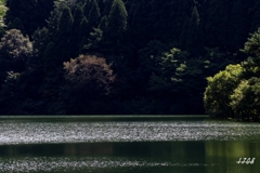池
