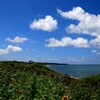 鳴石の浜