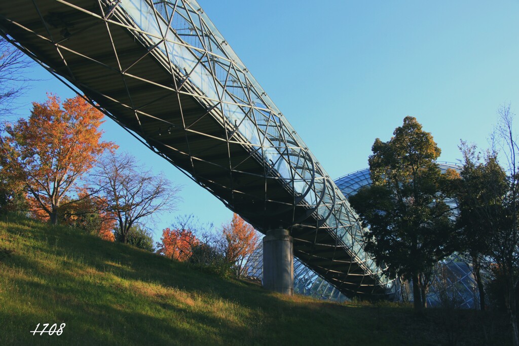 ドームへの回廊