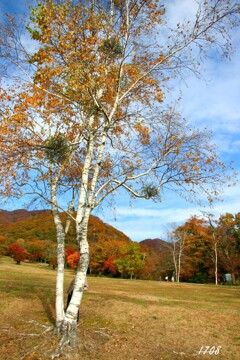 秋のゲレンデ 2/2