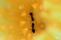 熱あり、熱中症かな～