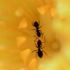 熱あり、熱中症かな～