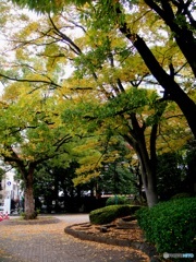 とうきよう漫步