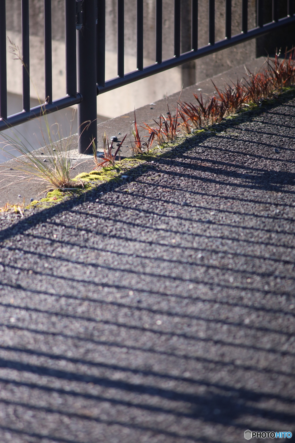 ニコン New Nikkor 200mm F4