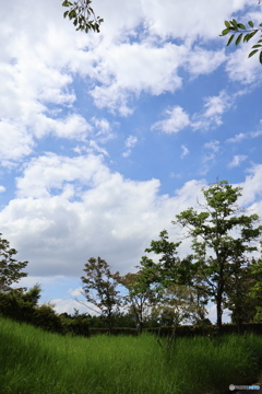 n/a