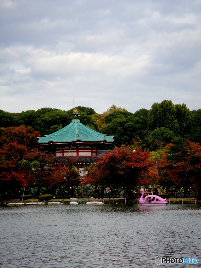 とうきよう漫步
