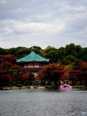 とうきよう漫步