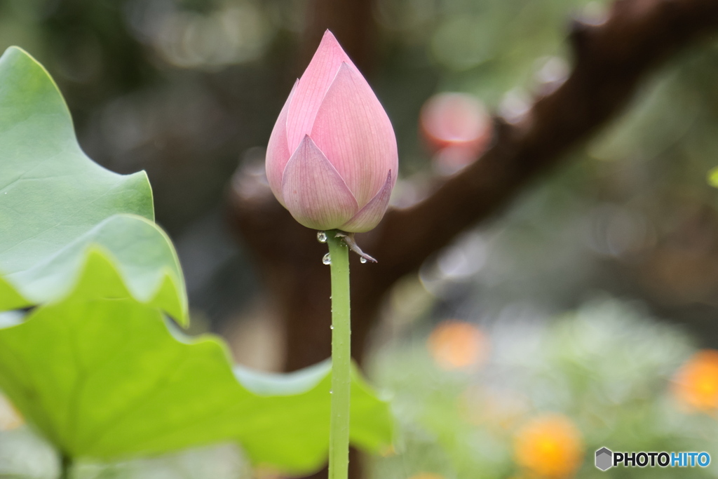 雨后
