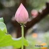 雨后