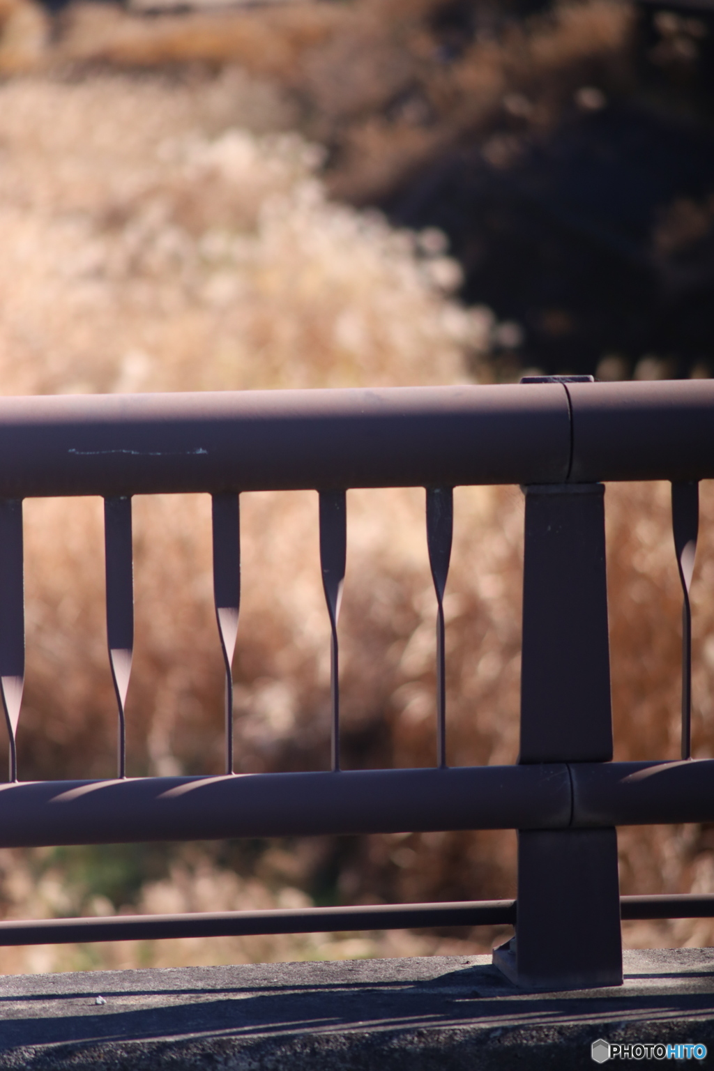 ニコン New Nikkor 200mm F4