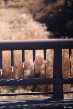 ニコン New Nikkor 200mm F4