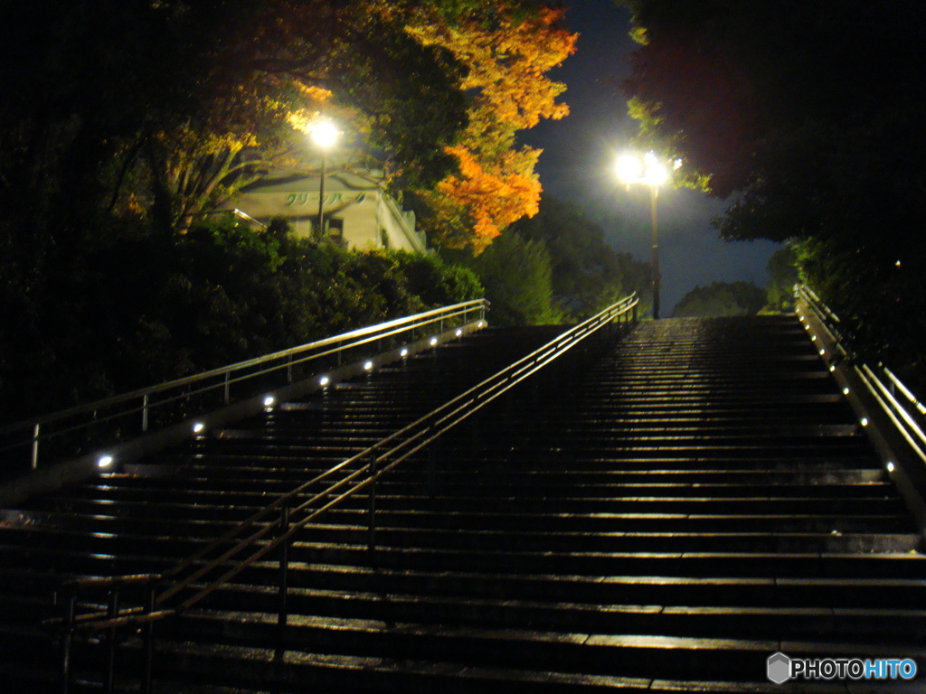 とうきよう漫步