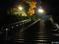 とうきよう漫步