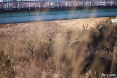 ニコン New Nikkor 200mm F4