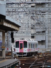 n/a