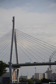 n/a