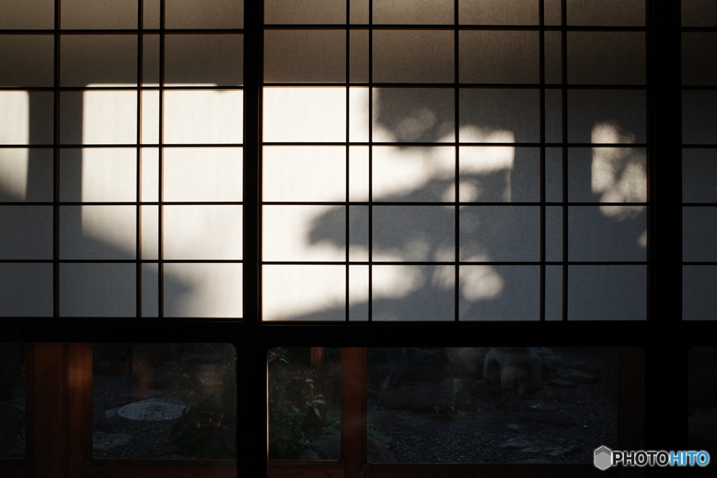 映。影 I 
