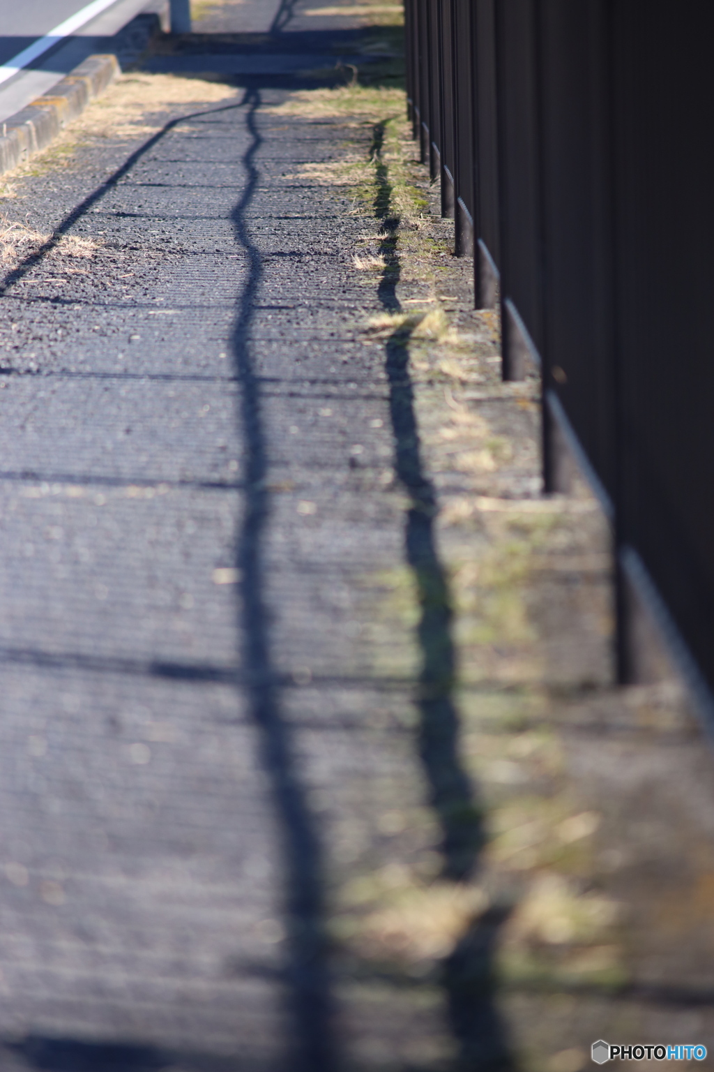 ニコン New Nikkor 200mm F4