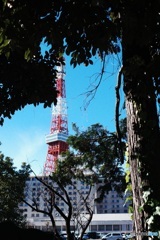 歲末 Tokyo Tower